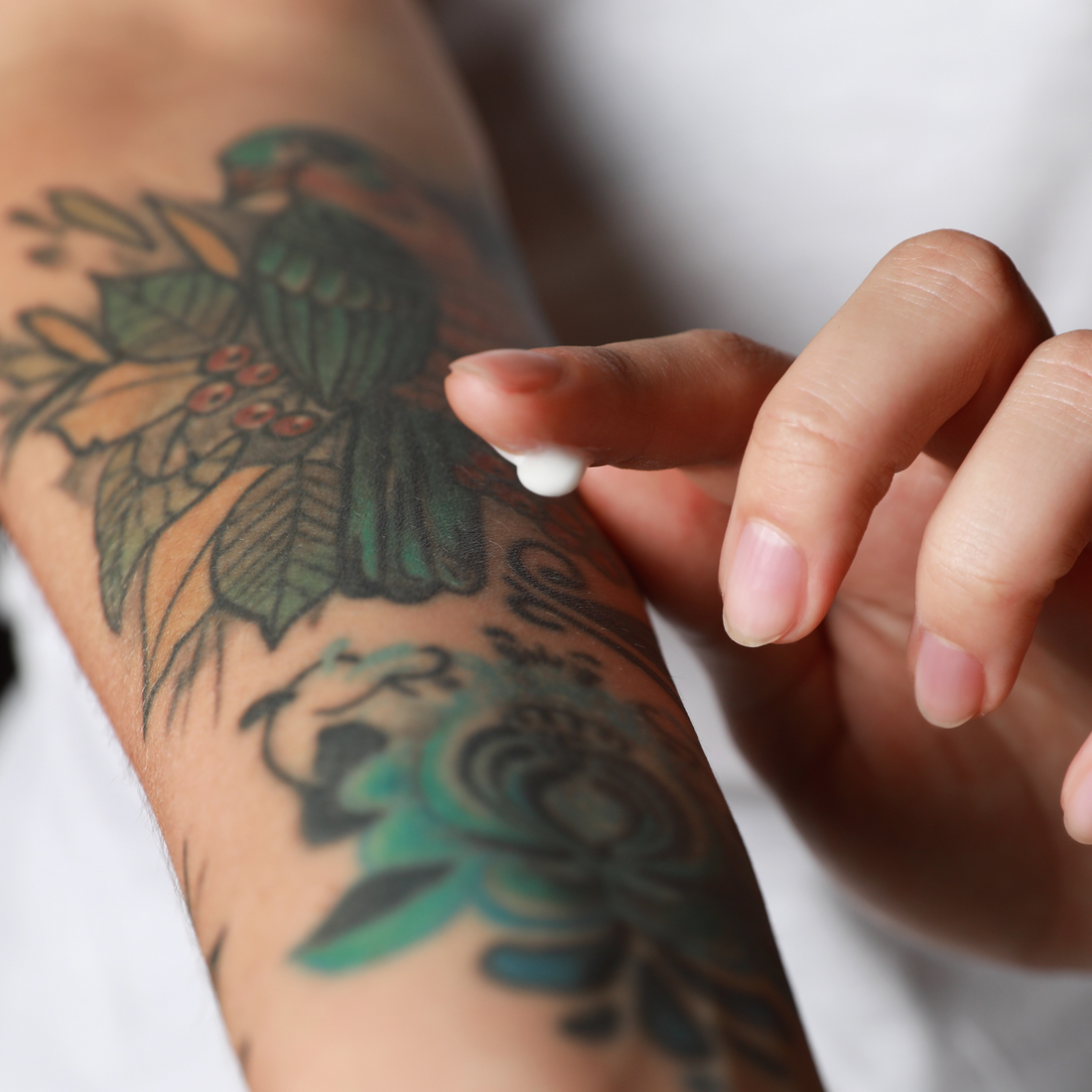 A person applying a dab of white aftercare lotion to a colorful floral and bird tattoo on their forearm.